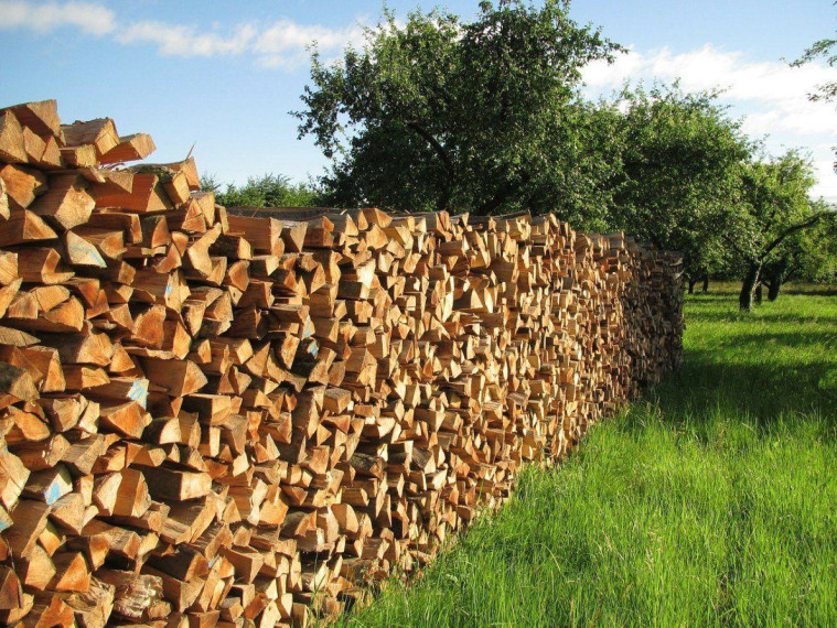 Порядок обращения семей участников СВО по дровам.
